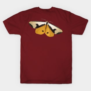 Clymene Moth - showin' and hidin' T-Shirt